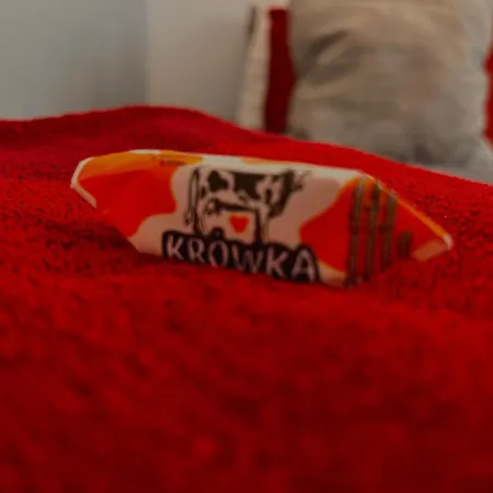 Amazing 1 Center, Sauna Apartman Varsó